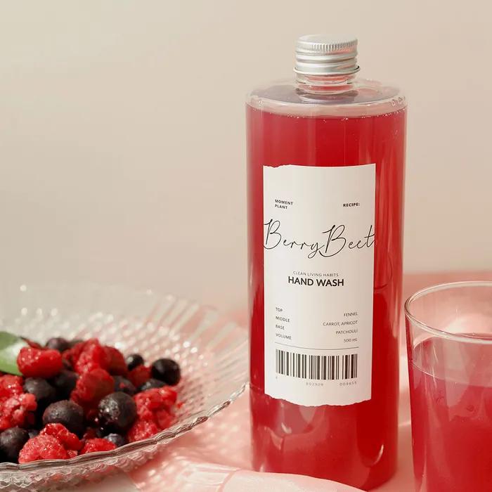 Moment Plant Hand Wash 500ml Large Capacity (+Pump)