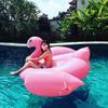 Materassino Gonfiabile Piscina Estiva Fenicottero Sport Acquatici all'Aperto Sdraio Gonfiabile con Maniglia Letto Galleggiante