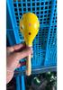 Colorful Wooden Maracas for Children - Orff Percussion Teaching Aids