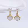 Natural Freshwater Pearl Stud Earrings S925 Sterling Silver Earrings Fritillary Zircon Pearl Earrings Light Luxury High Sense
