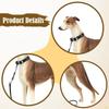1/6 Dog Figure Animal Figurine Diorama Miniature Layout Realistic Educational Toy