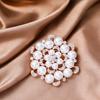 2022 New Creative Luxury Pearl Brooches Pins For Women Elegant Rhinestone Snowflakes Flower Accessories Lady Wedding Party Gift