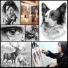30Pcs Charcoal Earser Knife Drawing Pencil Sketch Painting Canvas Pencil Bag Set Christmas Gift for Kid