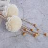 Living Room Fireless Aroma Dried Flowers Artificial Flower Aromatic Incense Diffuser Sticks