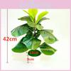 Ficus Pandurata Hance Künstliche Pflanze Mit Plastikblättern Für Heimdekoration Und Geschenk