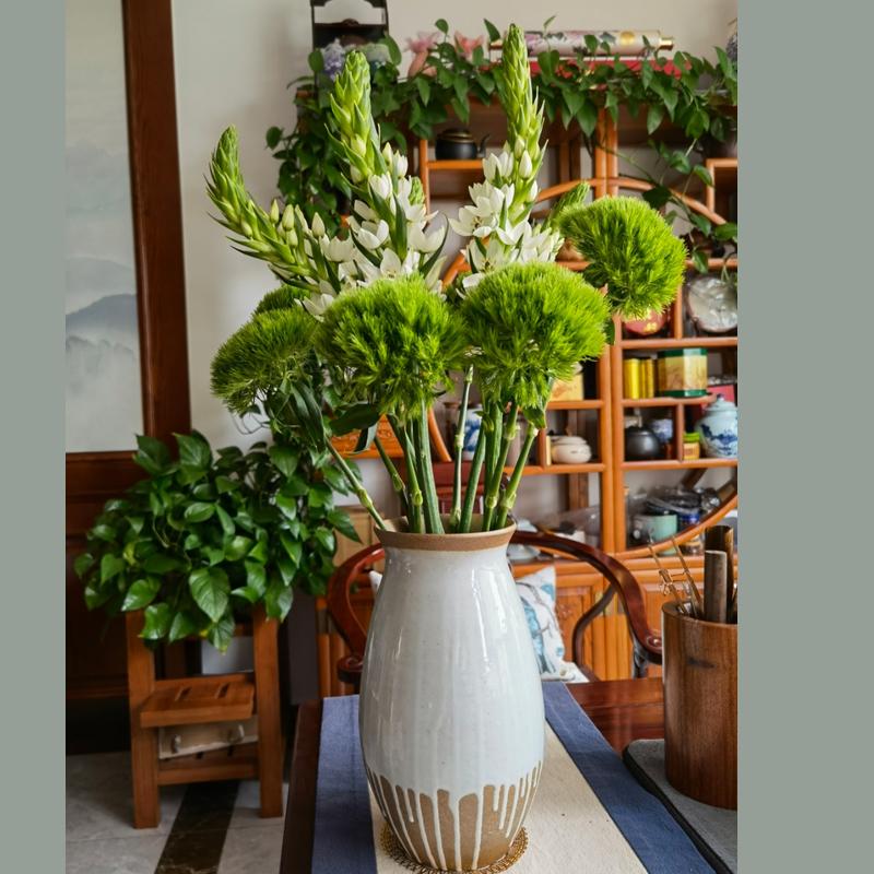 Modern Minimalist Ceramic Vase for Creative Floral Displays