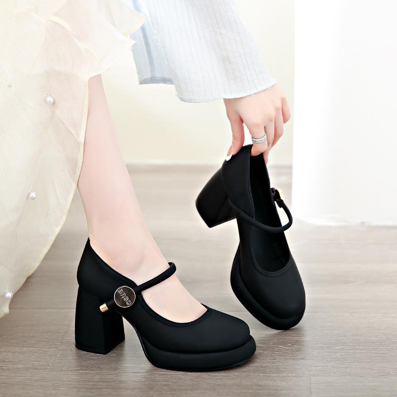 European and American evening breeze Mary Jane high heels women's versatile thick heel skirt spring 2025 new small leather shoes single shoes