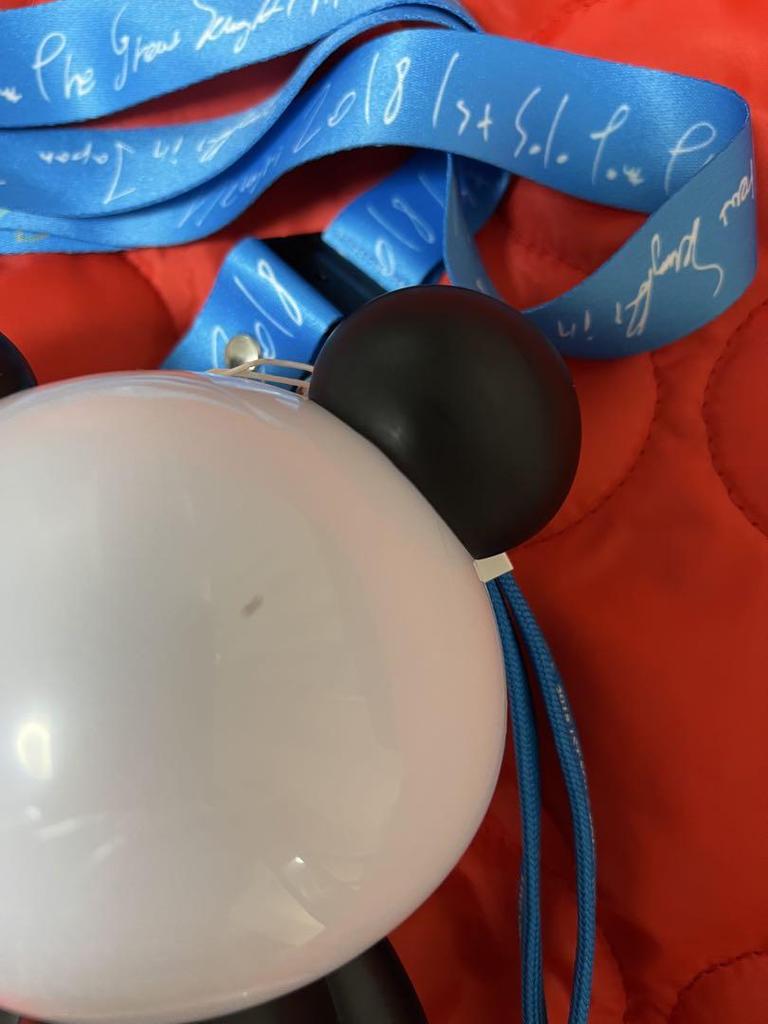 [USED] BIGBANG Seungri penlight