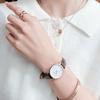 DANIEL WELLINGTON Women's Watch Quartz Movement Leather Strap 28mm White Dial Women's Watch Fashionable Luxury European and American Watch DW00100231