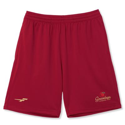 FINTA Men's Dry Practice Pants for Soccer and Futsal, FTE0012 (5100), Wine Red, Size M