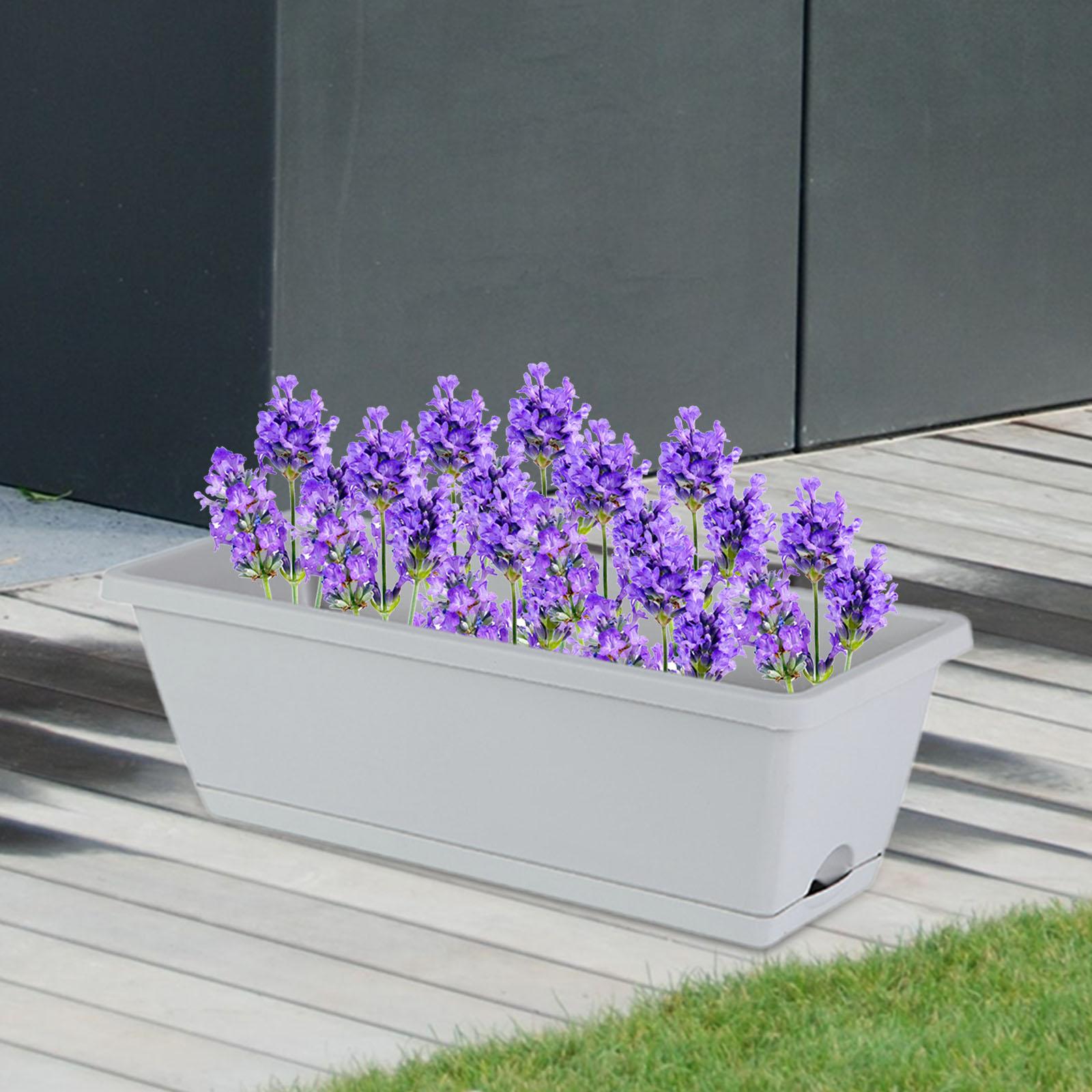 

2x Flower Box with Window, Planter, Rectangular, 36.6 X 19.8 X 15.1 Cm, Decoration, Flower Pot, Flower Pot for The Garden, Home светло-серый