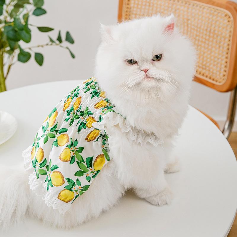 Spring and summer cat lace edge fresh lemon dress into cat kitten puppet cat pet skirt dog clothes