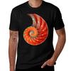 Nautilus Shell Sea Shells TShirt Minimal Art Print TShirt