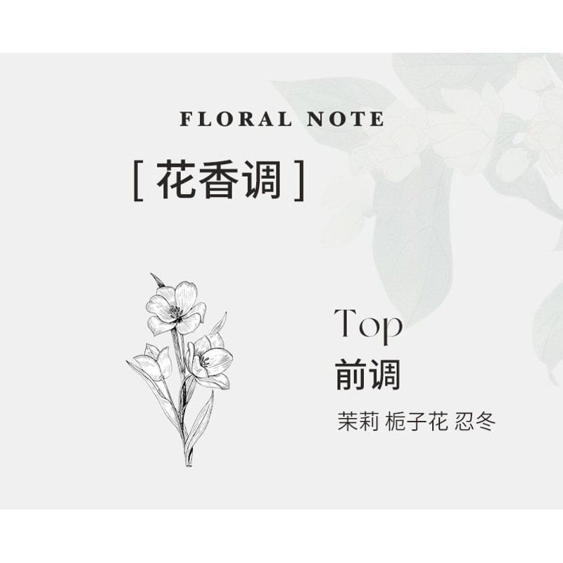 NOVO - Eau De Toilette Perfume - 3 Types