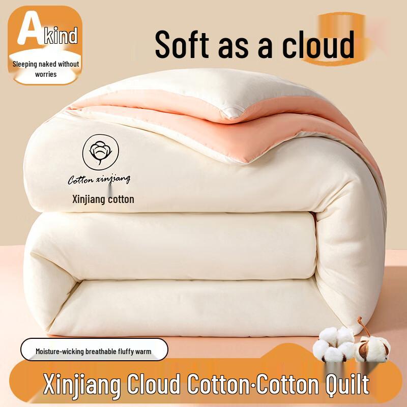 Shixun Winter Warm Cotton Comforter