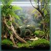 Reptilienversteck für Terrarium Faules Baumversteck Loch Aquarium Fische Garnelen Gecko Versteckplatz Versteckhöhle Unterschlupf Beckendekoration Höhle