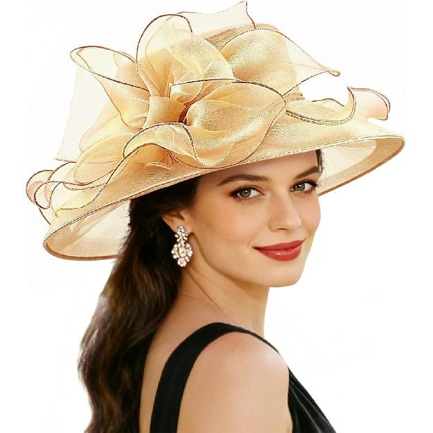 DRESHOW Damen Organza Hut Kirchenkappe Hüte Ausverkauf Kentucky Derby Cocktail Teeparty Hochzeit Blumenhut mit breiter Krempe
