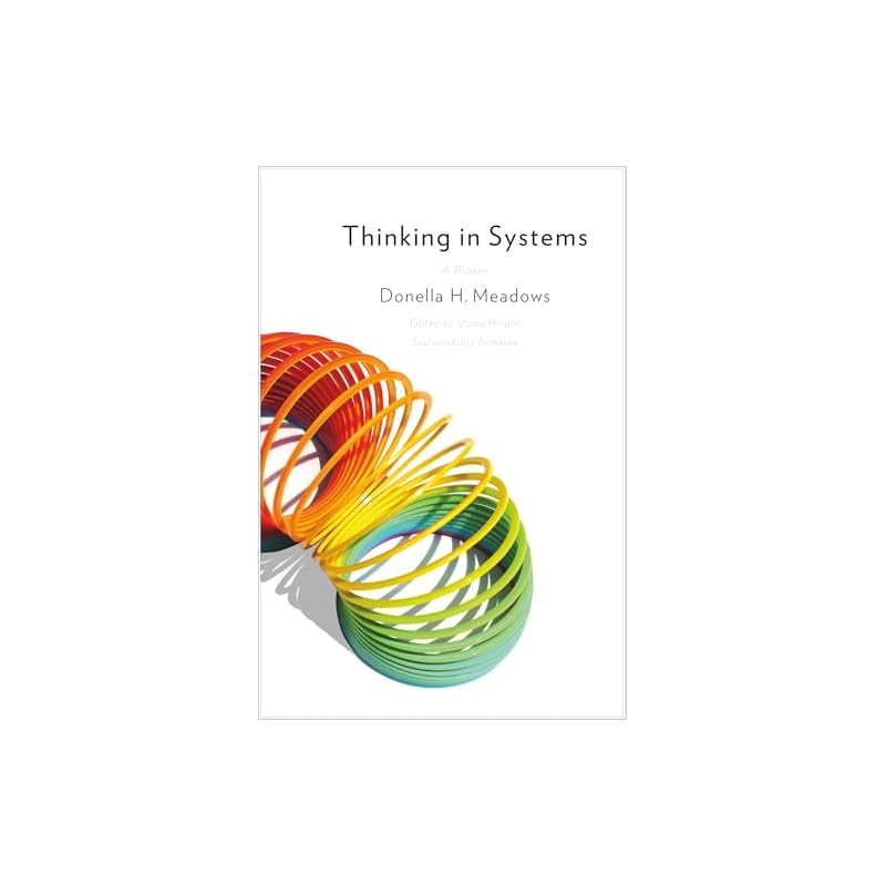 Thinking in Systems: International Bestseller