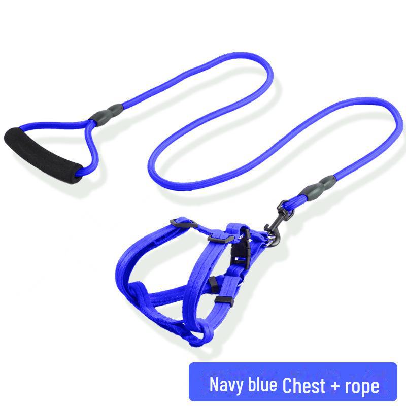 Adjustable Dog Leash and Collar Set for Small, Medium, and Large Dogs - Ideal for Walking Pets like Teddy and Golden Retriever