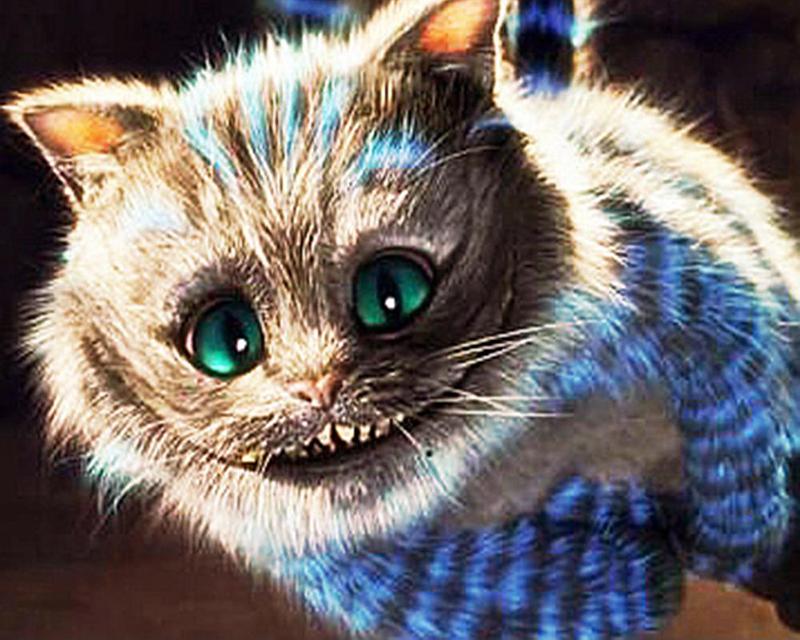 5D DIY Round / Square Diamond Painting Rhinoceros Animal Diamond Embroidery Cross Stitch Kit Cat Mosaic Picture Diamond Decoration Gift