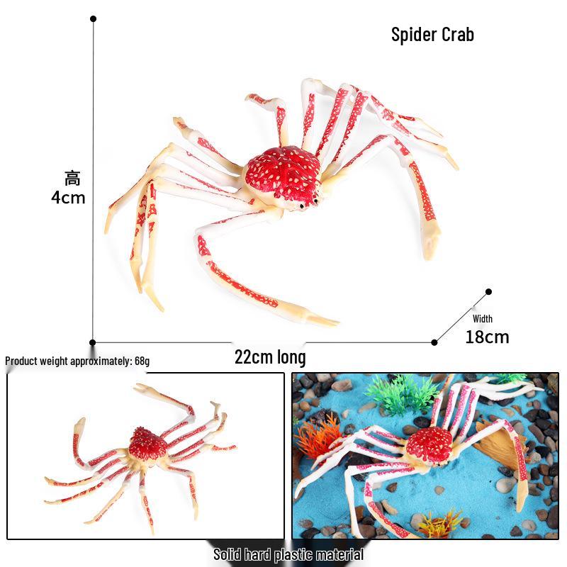 Marine Life Animal Models: Solid Squid & Octopus Toys for Children