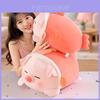 Plush Pig Toy With Pp Cotton Filling For Kids And Adults Perfect As Birthday Gift