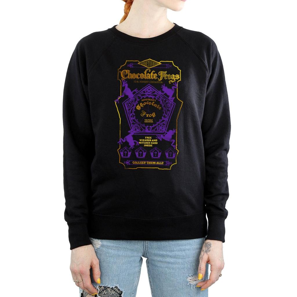 Harry Potter Womens/Ladies Chocolate Frogs Coloured Label Sweatshirt