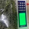 Christmas Decorations Cedar Garland 6FT Real Green Garland For Christmas Party Table Mantle Wall Indoor Outdoor