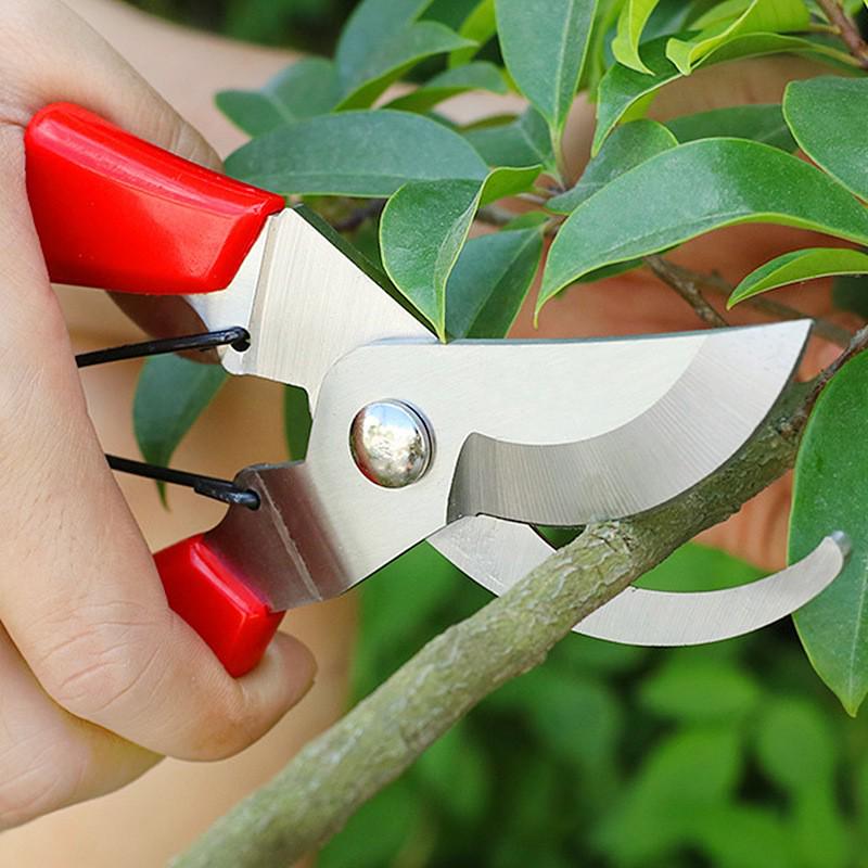 Pruning Shears for Garden and Bonsai - Artful Tree and Branch Trimming Scissors