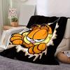 1pc, Garfield Cartoon Character Home Decor Blanket, Perfect for Couch, Bed, Travel, Camping, Car, Beach, Office Nap, Soft Throw Gift IdeaA053