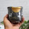Waza no Kura Stylish Kutani Ware Teacup, Moon Rabbit Design, Large, Ceramic, Brand Name, Japanese Tableware, Made in Japan, Perfect as a Birthday Pres