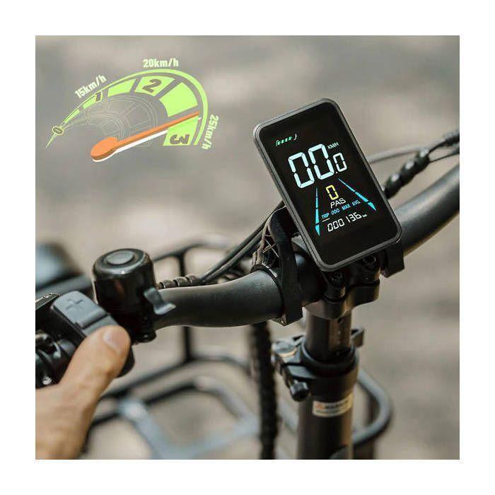 Fafrees FF20 CUV - Vélo cargo électrique - 250 W - 48 V - 24 Ah - Vitesse maximale 25 km/h - Noir - Avec porte-bagages arrière