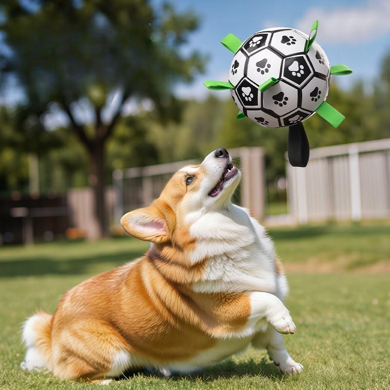 Dog Football Toy Rubber Ball Interactive Dog Training Elastic Ball Molars Bite Resistant Corgi Large Dog Pet Ball