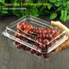 Plastic Fruit Container with Lid