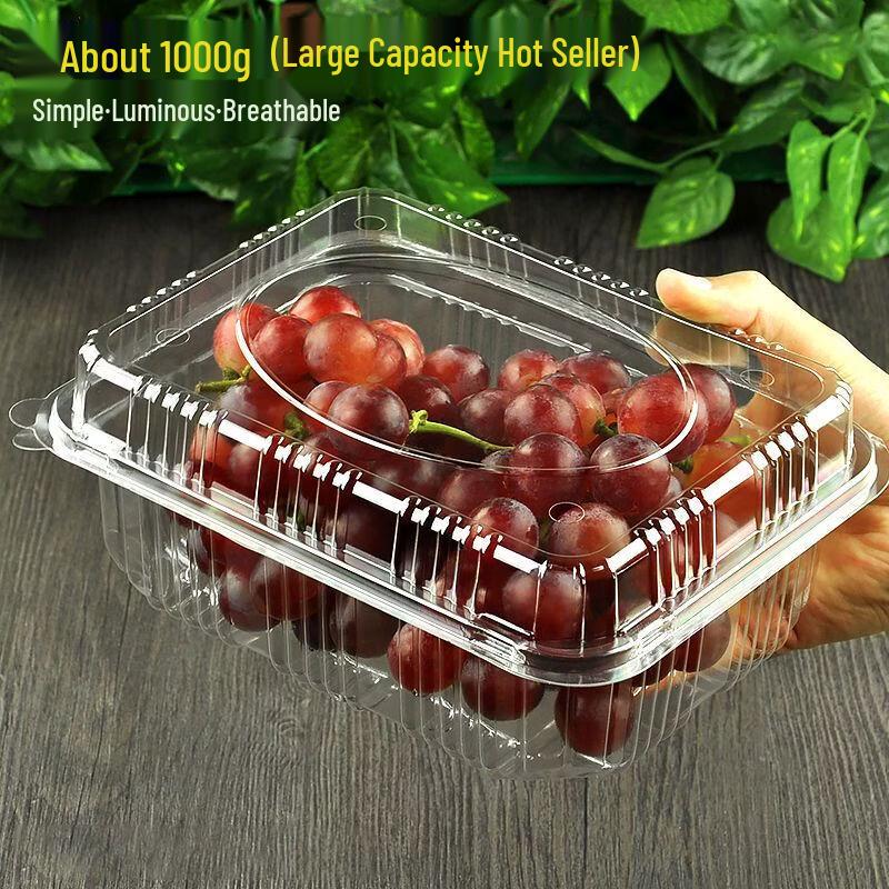 Plastic Fruit Container with Lid