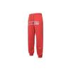 Nike Sportswear Icon Clash Printed Fleece Joggers FQ0367-666