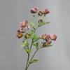 Fiore Artificiale in Seta Realistica 55cm Oggetti di Scena per Foto Rose Invernali in Seta Rami di Elleboro Decorazione per la Casa