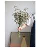 High-End Wabi-Sabi Dried Flower Decor: Natural Reeds & Wheat for Living Room or Homestay.