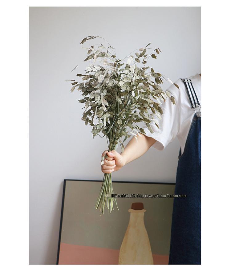 High-End Wabi-Sabi Dried Flower Decor: Natural Reeds & Wheat for Living Room or Homestay.