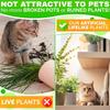 3 Pack Small Fake Plants Artificial Eucalyptus Potted Plants for Shelf Desk Home Bathroom Farmhouse Room or Coffee Table Decoration - Greenery In