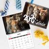 Hanging Loop Cat Calendar Durable Construction Monthly Planner Kitten Wall Calendar  Office Decor
