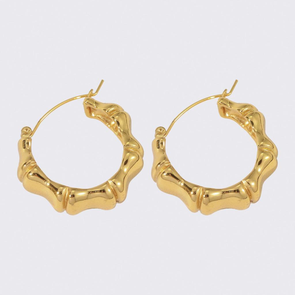LNCHRAN 304 Stainless Steel Bamboo Hoop Earrings for Women