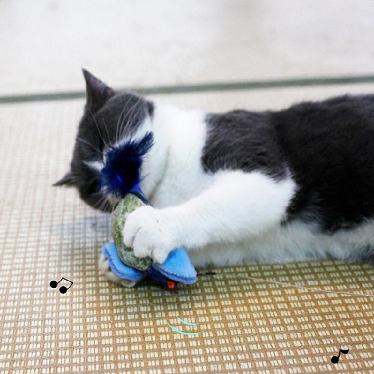 Interactive Cat Birds Toy for Indoor Cute Cat Toy with Realistic Bird Sounds Toy