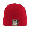 Rage Is Consuming Me Silly Staring Cat Beanie Hats  Bonnet Hats Adult Unisex Casual Hippie Knit Hat Winter Custom Head Wrap Caps