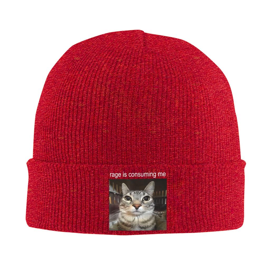 Rage Is Consuming Me Silly Staring Cat Beanie Hats Bonnet Hats Adult Unisex Casual Hippie Knit Hat Winter Custom Head Wrap Caps