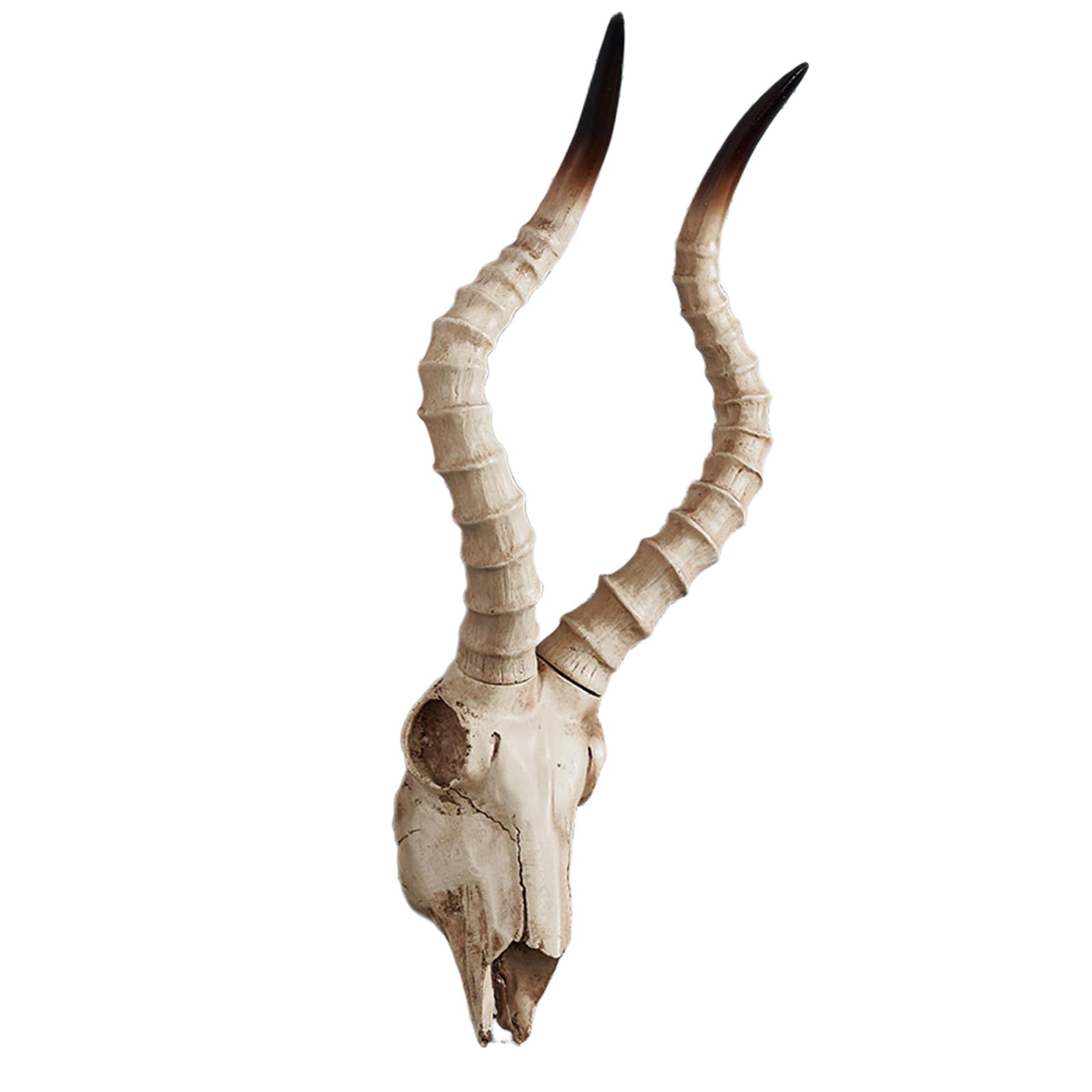

Long Decoration Skull Halloween Decoration Wall Decoration Skull Decoration