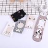 Women's Cute Dog Print Cotton Socks New Season Casual Comfortable Mid Calf Socks for Spring Autumn