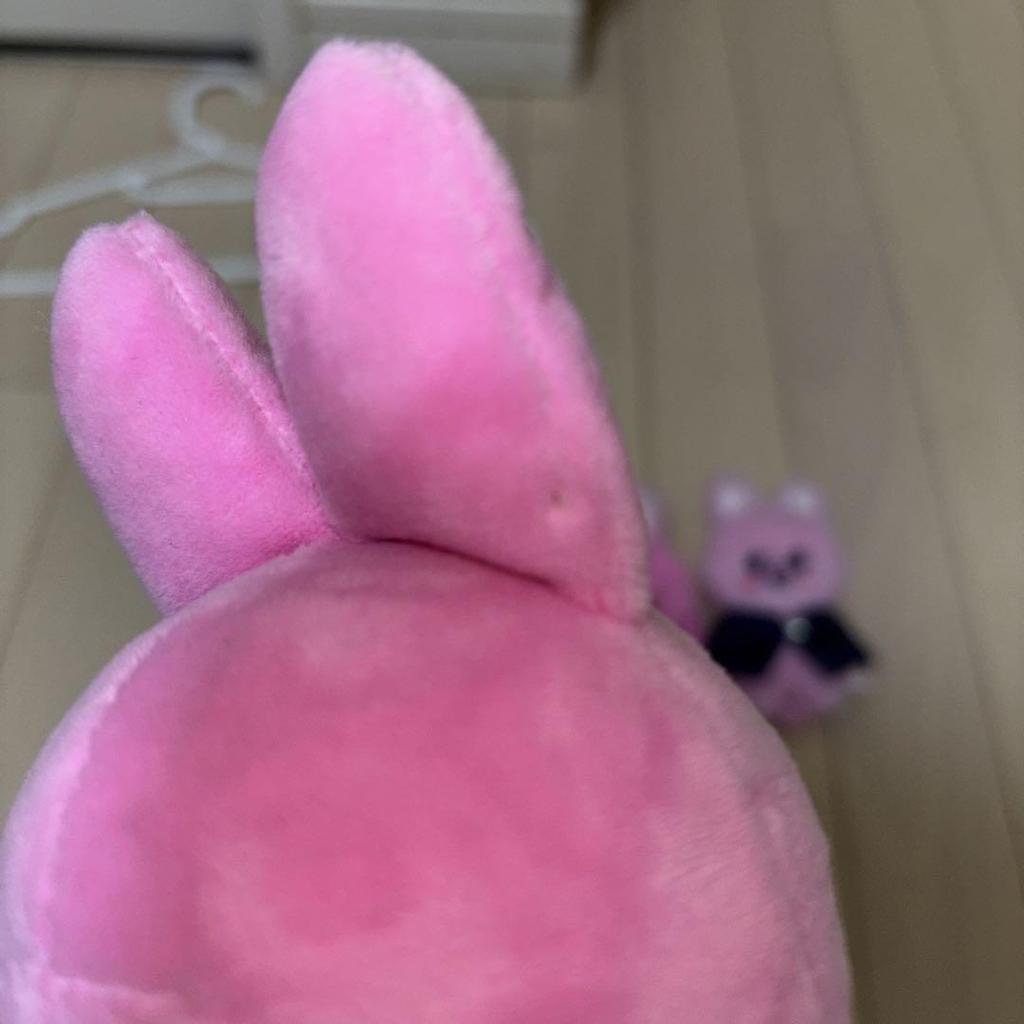 [GEBRAUCHT] Stray Kids Fan Meeting Mini-Plüschtier SKZOO Toekki