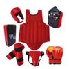 Warrior Sanda Protective Gear Set