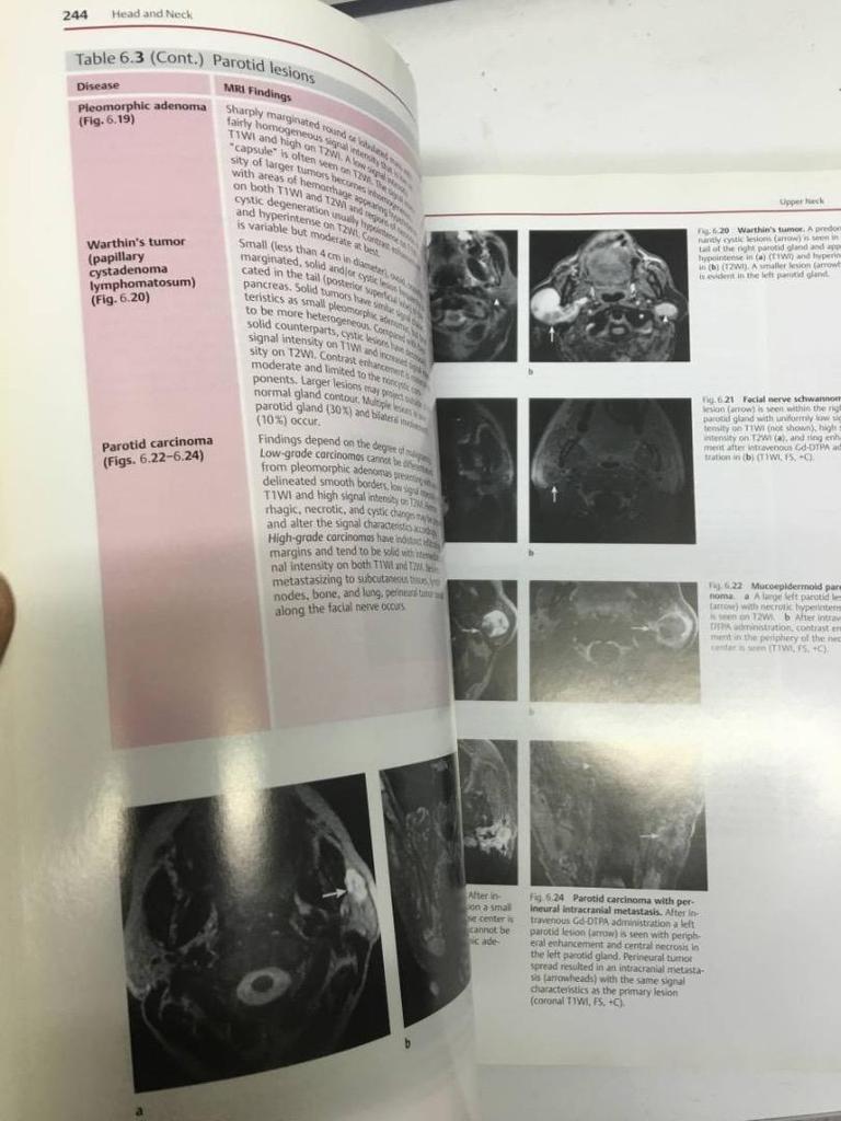 [USED] Hospital disposal book: Differential Diagnosis, large-format medical book